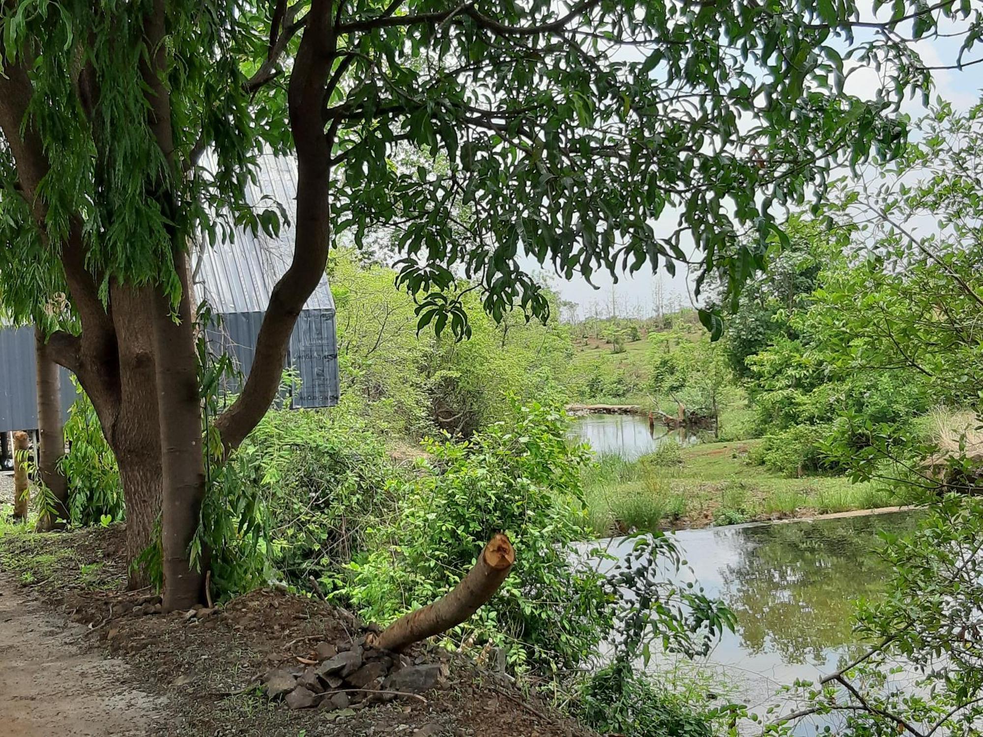 River Ranch Saralgaon ภายนอก รูปภาพ